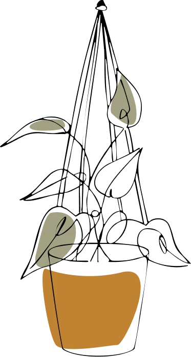 Rosliny w doniczkach