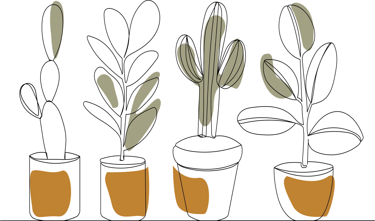 Rosliny w doniczkach