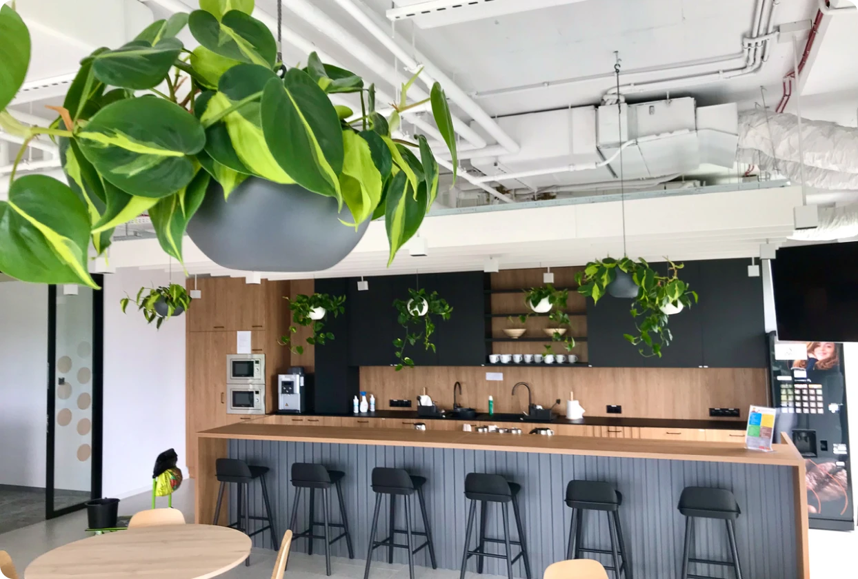 Miedzy odpowiedzialnością a przyjemnością