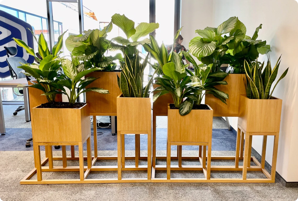 Nowoczesne biuro pełne roślin