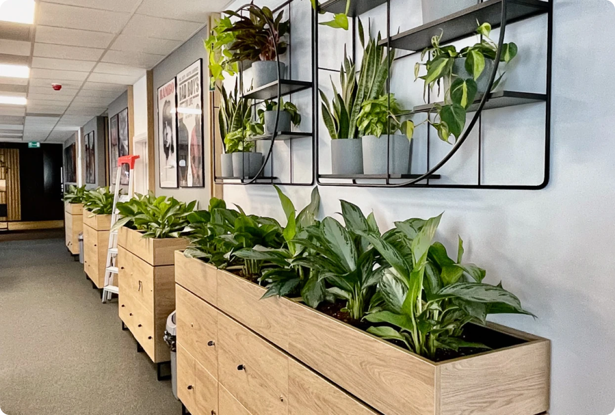 Wiedza i doświadczenie